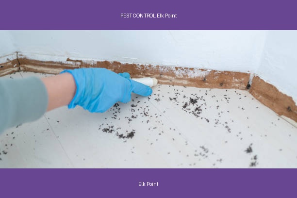 PEST CONTROL Elk Point